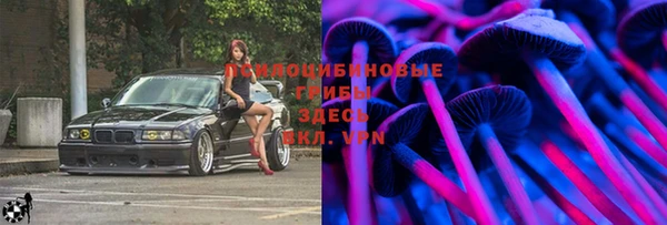 сатива Иннополис