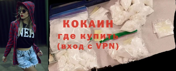 ешки Инта