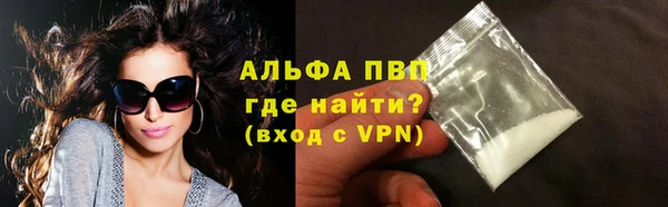 сатива Иннополис