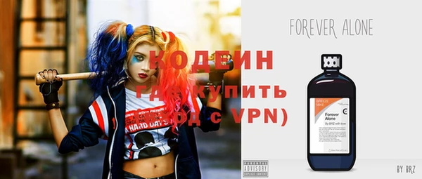 ешки Инта