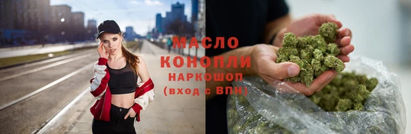 сатива Иннополис
