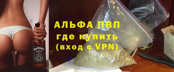 сатива Иннополис