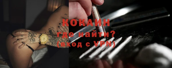 ALPHA PVP Инсар