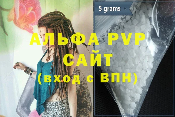 сатива Иннополис