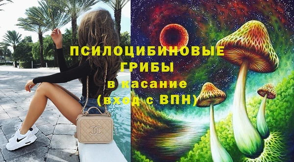 ALPHA PVP Инсар