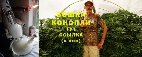 сатива Иннополис
