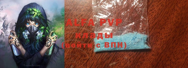 сатива Иннополис