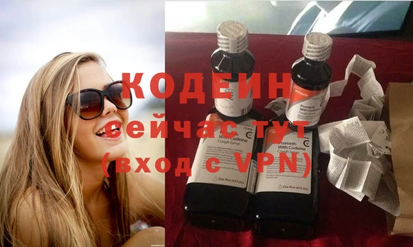 ALPHA PVP Инсар