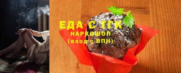 ешки Инта