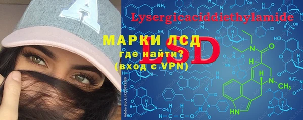 ешки Инта