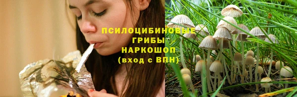 ешки Инта