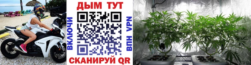 Купить где  Струнино  Бошки Шишки VHQ 